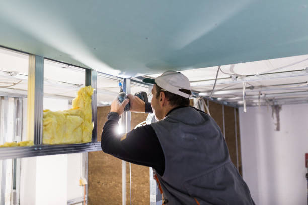Best Cellulose Insulation in Maryville, MO