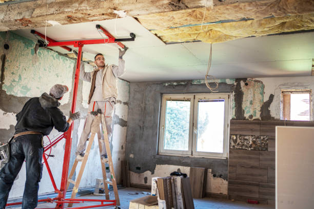 Best Geographic-Specific Insulation Services in Maryville, MO