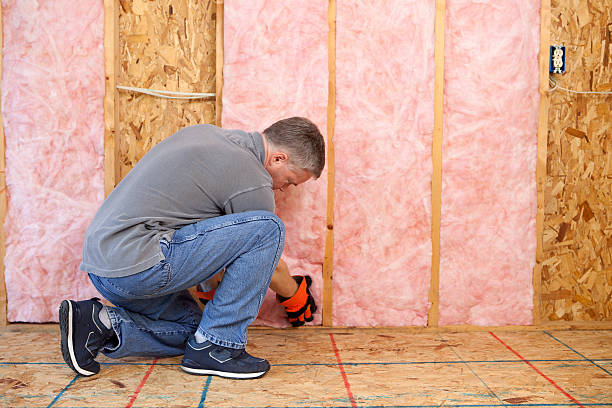Best Geographic-Specific Insulation Services in Maryville, MO